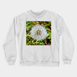 Make A Wish Crewneck Sweatshirt